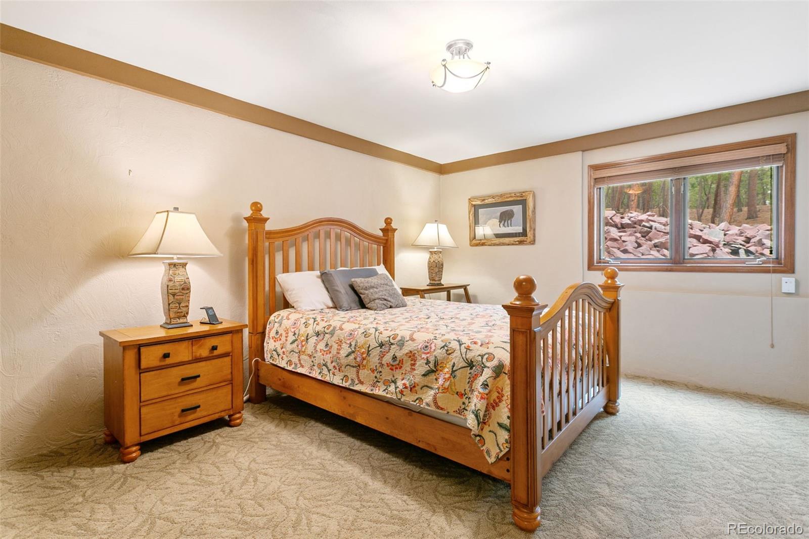 MLS Image #11 for 1610  stella drive,colorado springs, Colorado