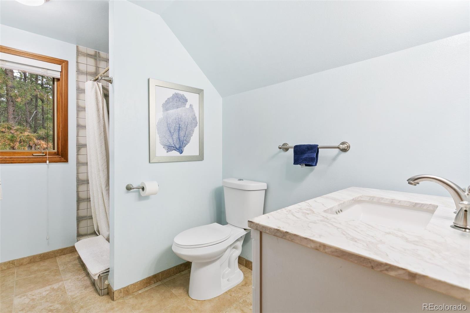 MLS Image #14 for 1610  stella drive,colorado springs, Colorado