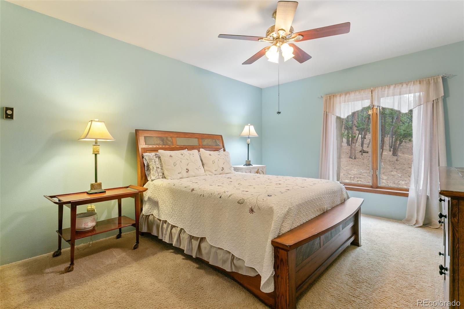 MLS Image #24 for 1610  stella drive,colorado springs, Colorado