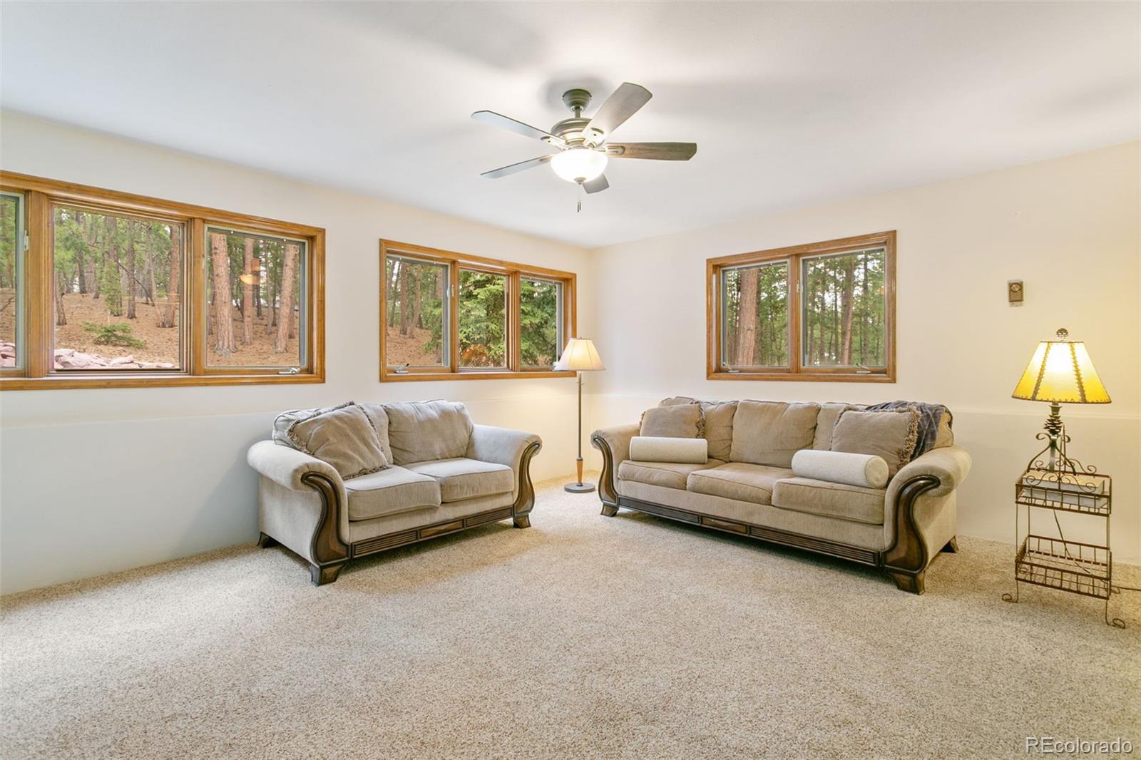MLS Image #28 for 1610  stella drive,colorado springs, Colorado