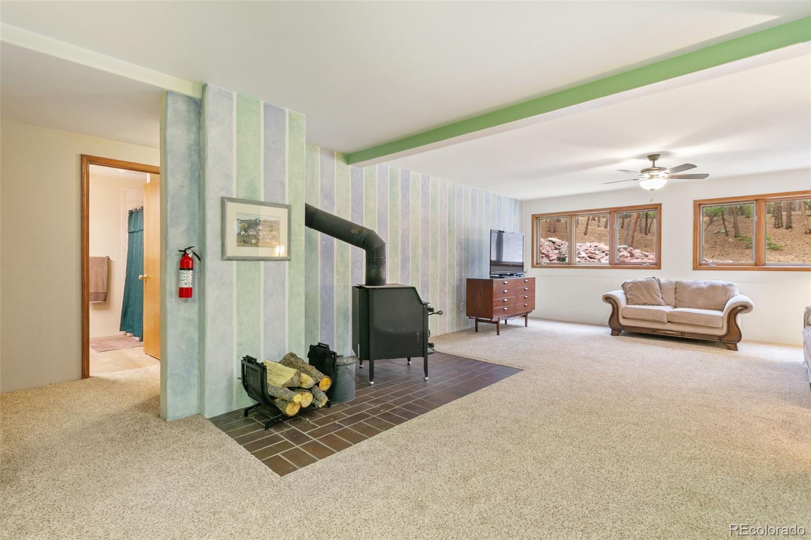 MLS Image #29 for 1610  stella drive,colorado springs, Colorado