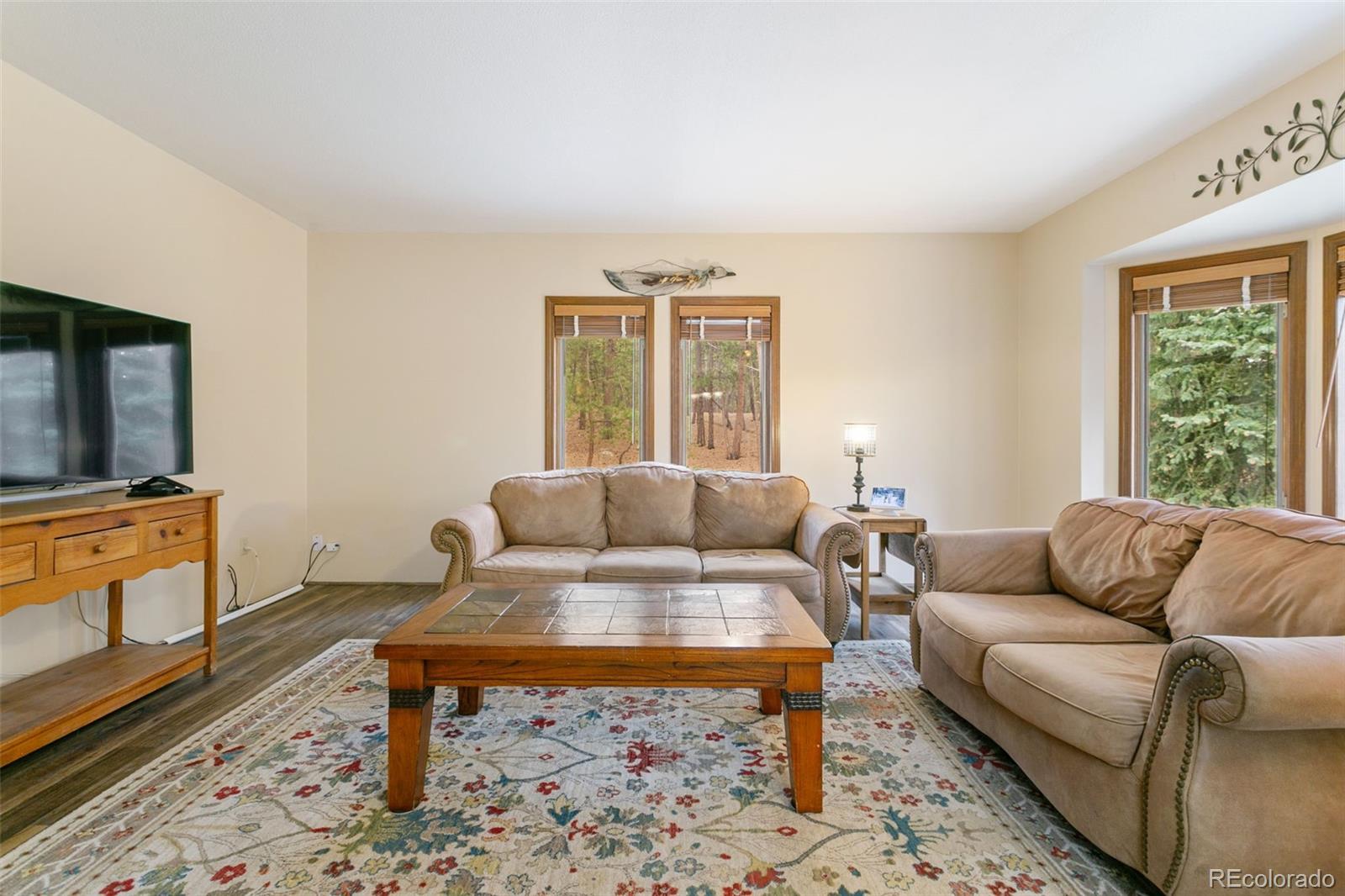 MLS Image #4 for 1610  stella drive,colorado springs, Colorado