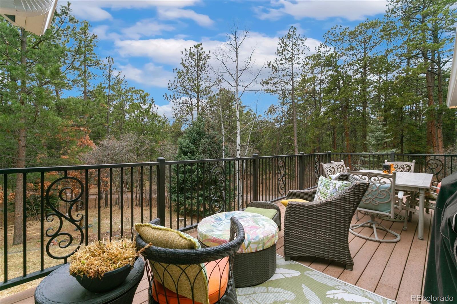 MLS Image #42 for 1610  stella drive,colorado springs, Colorado