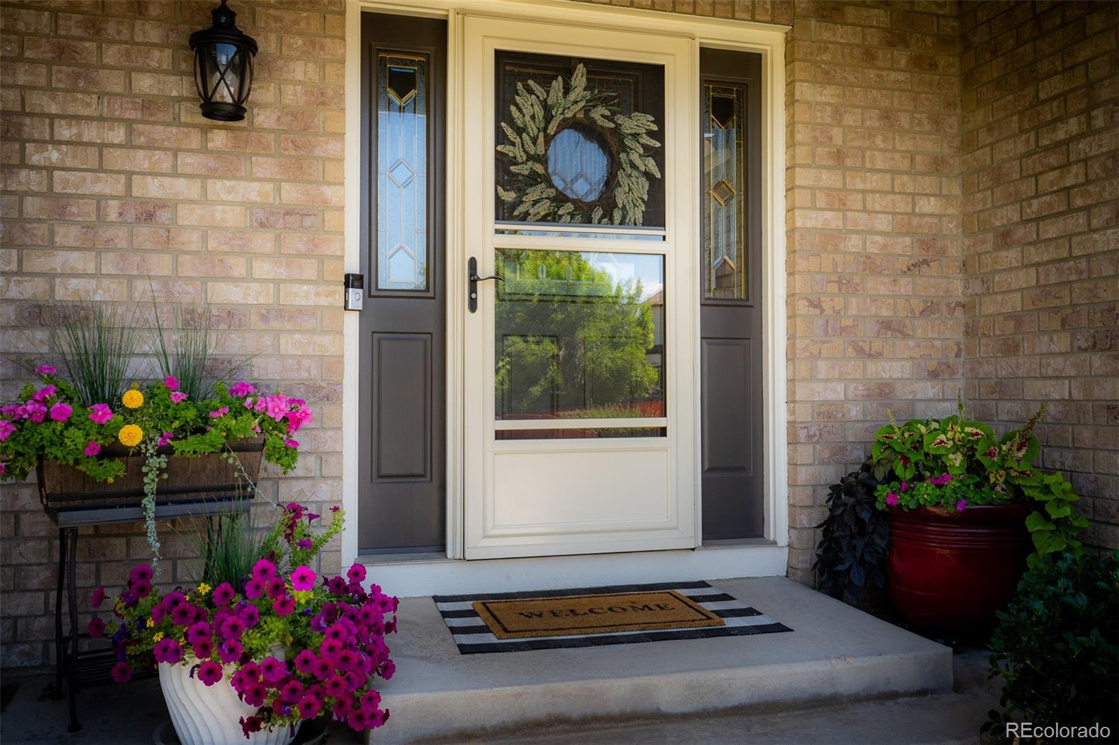 MLS Image #4 for 4435  sable ridge court,colorado springs, Colorado