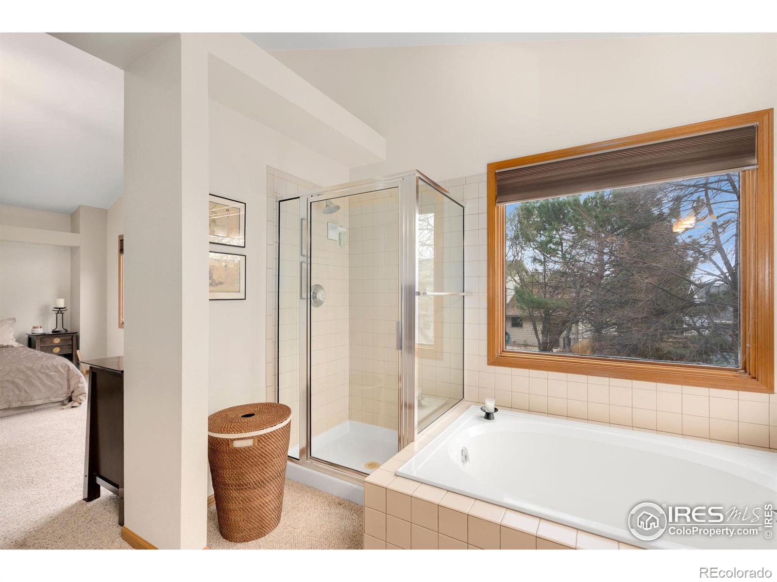 MLS Image #18 for 2643  newgate court,fort collins, Colorado