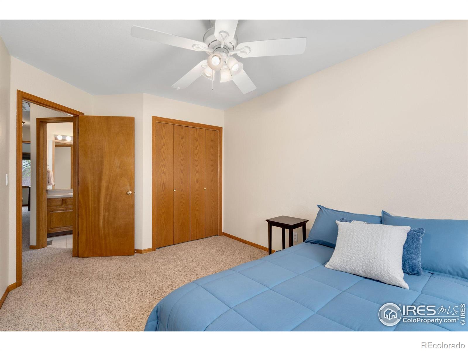 MLS Image #19 for 2643  newgate court,fort collins, Colorado