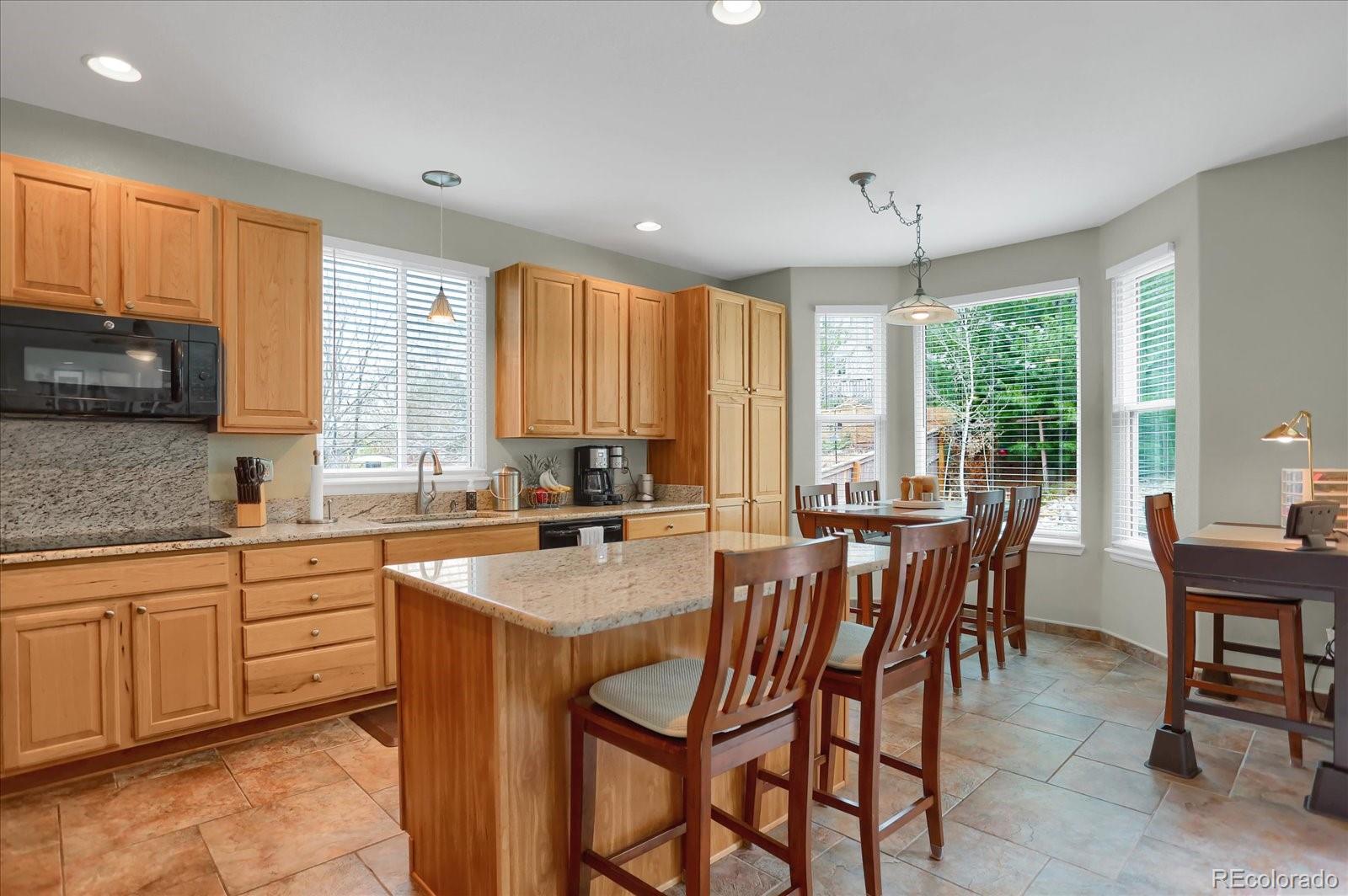 MLS Image #13 for 2876  windridge circle,highlands ranch, Colorado