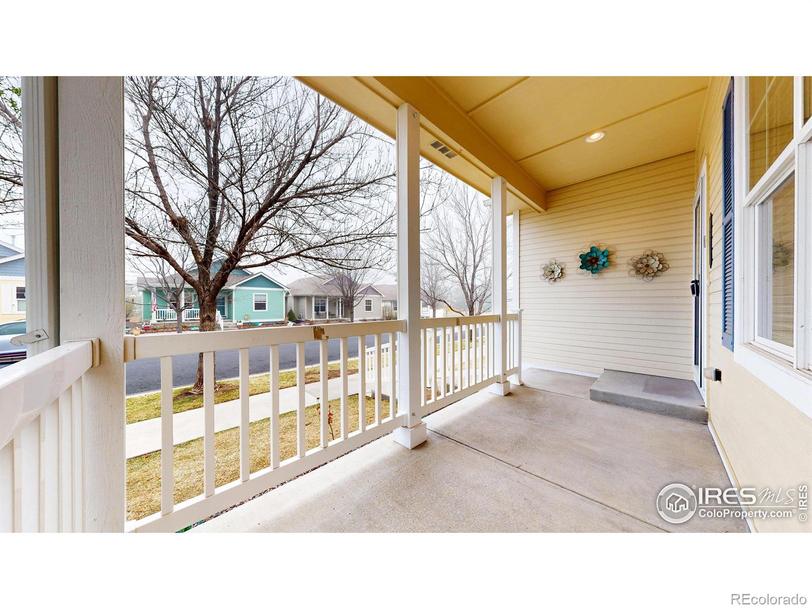 MLS Image #29 for 4675  dillon avenue,loveland, Colorado