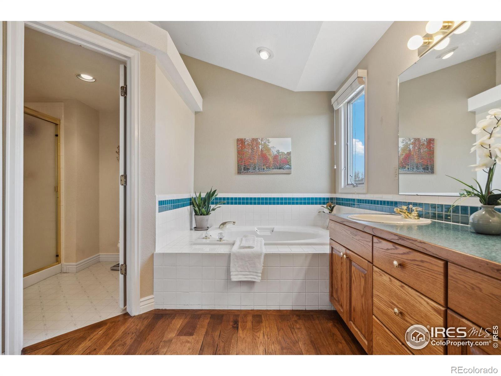 MLS Image #21 for 1618  silvergate road,fort collins, Colorado