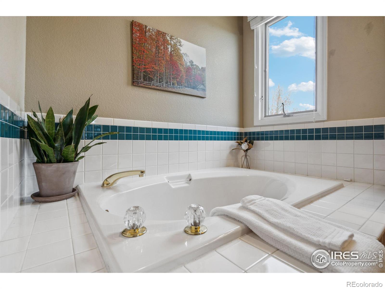 MLS Image #23 for 1618  silvergate road,fort collins, Colorado