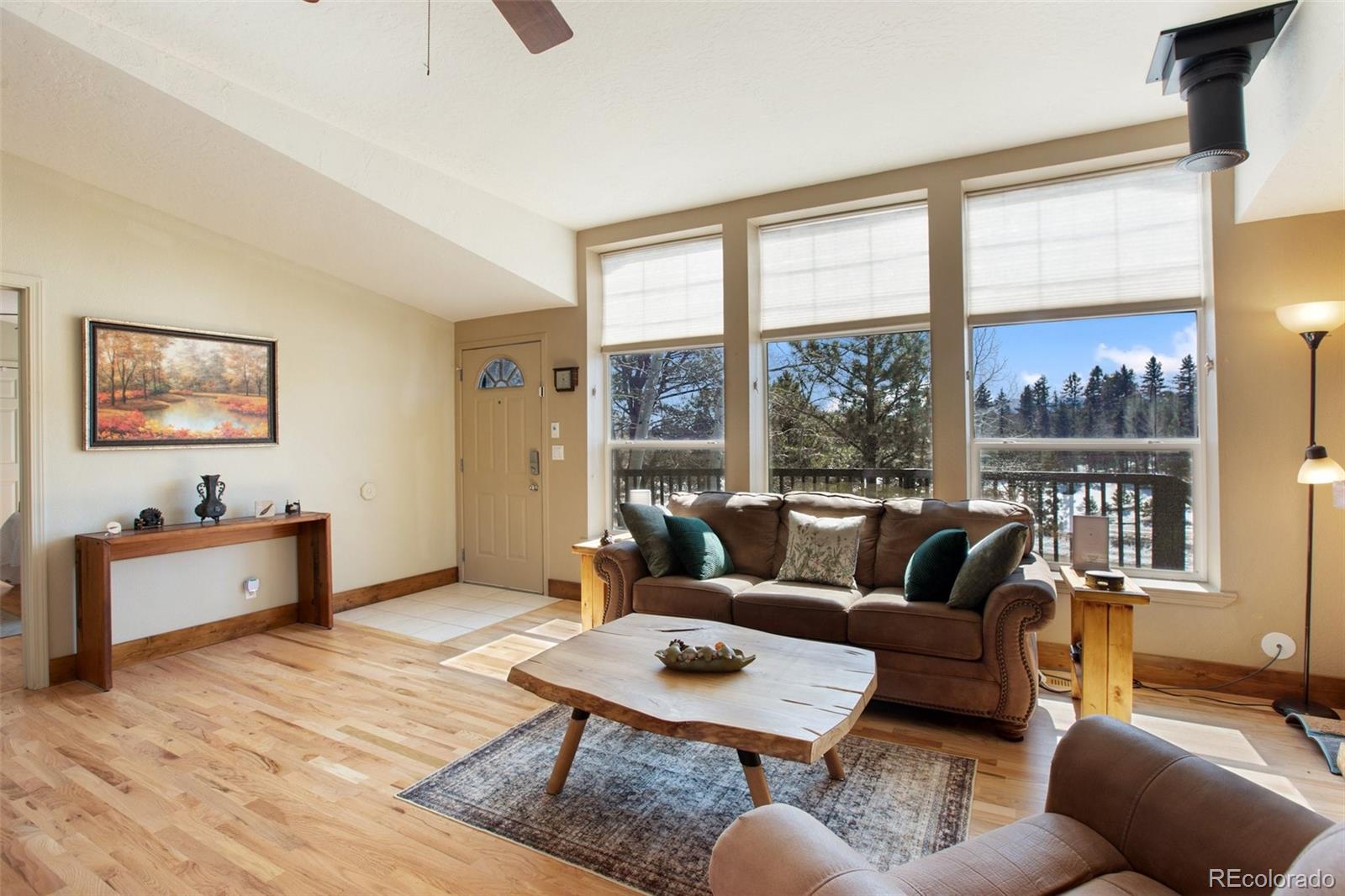 MLS Image #3 for 63  bear claw trail,divide, Colorado