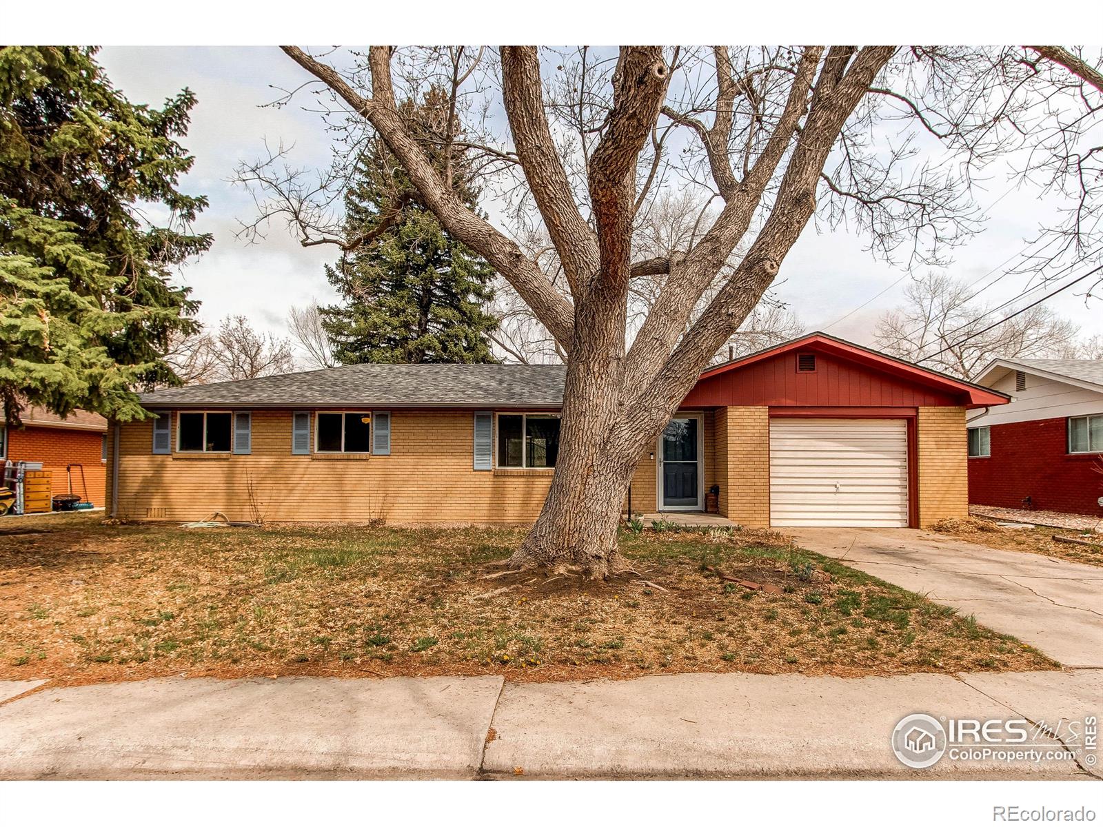 MLS Image #2 for 312  buckley drive,longmont, Colorado