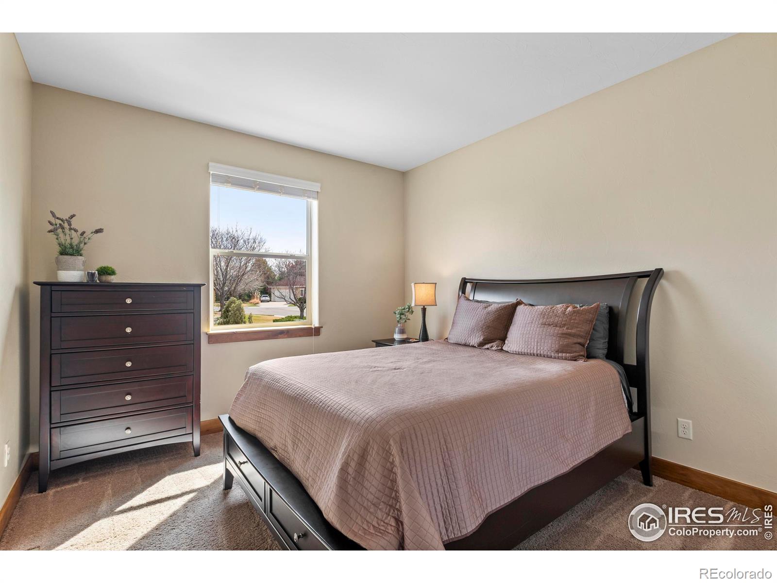 MLS Image #19 for 4614  chokecherry trail,fort collins, Colorado