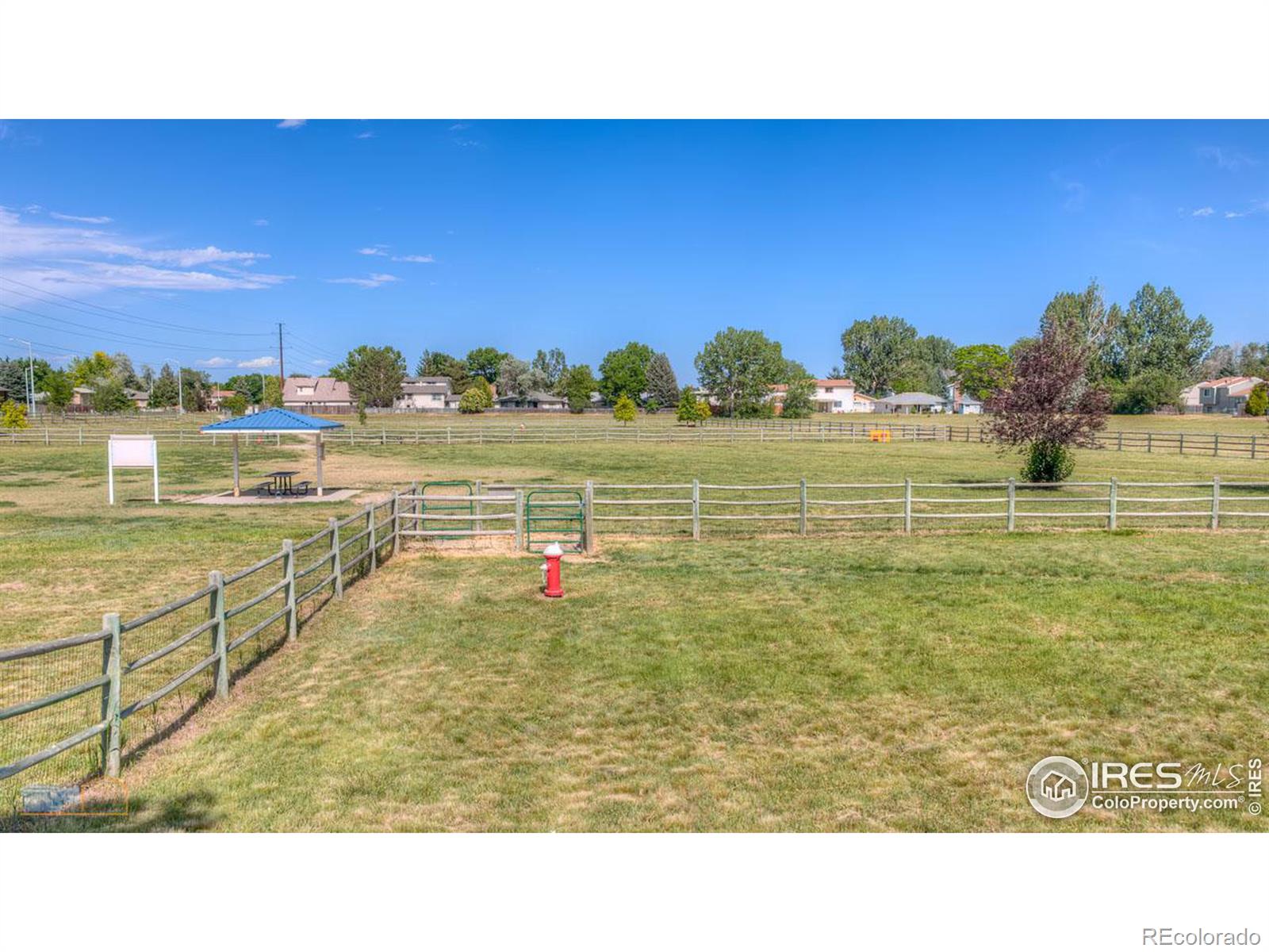 MLS Image #31 for 1630  calkins avenue,longmont, Colorado