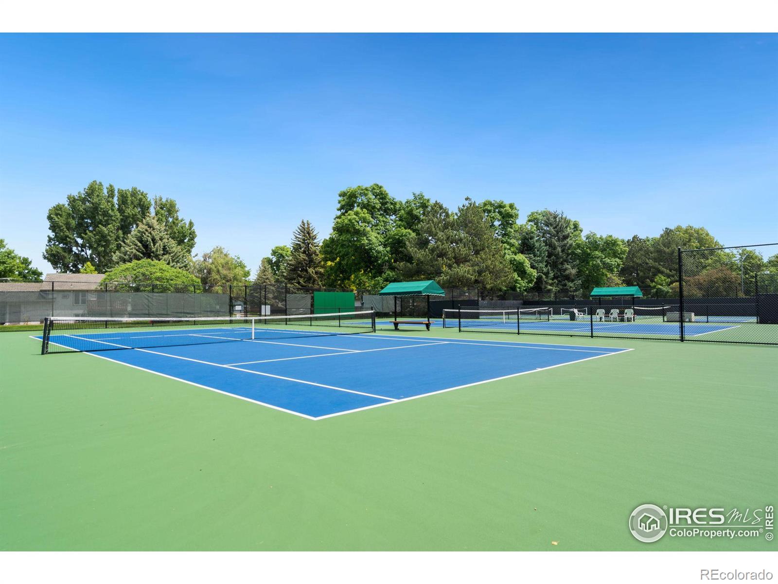 MLS Image #15 for 1315  kirkwood drive,fort collins, Colorado