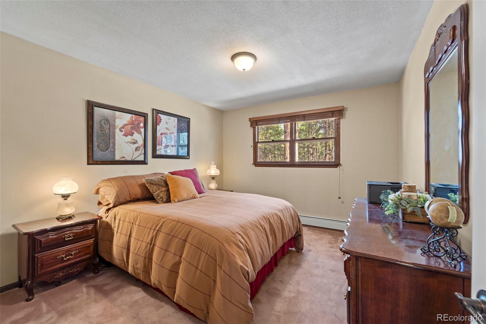MLS Image #13 for 1  kendora lane,woodland park, Colorado