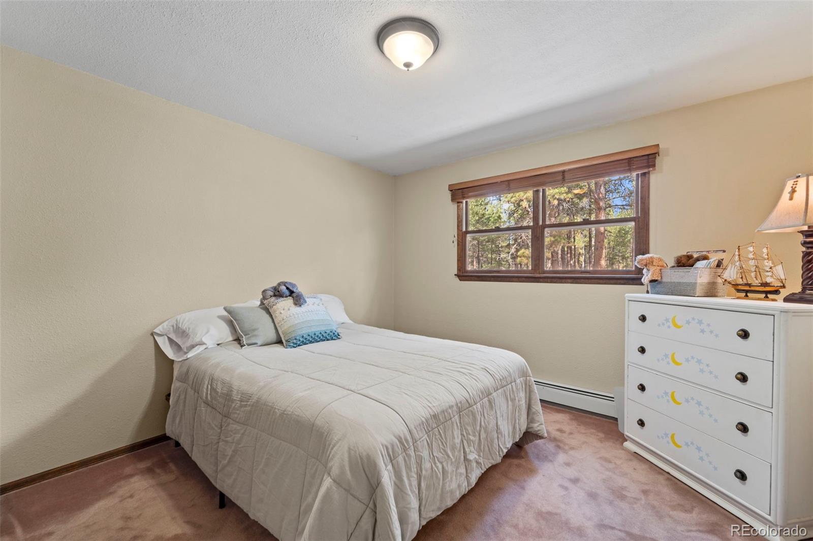MLS Image #14 for 1  kendora lane,woodland park, Colorado