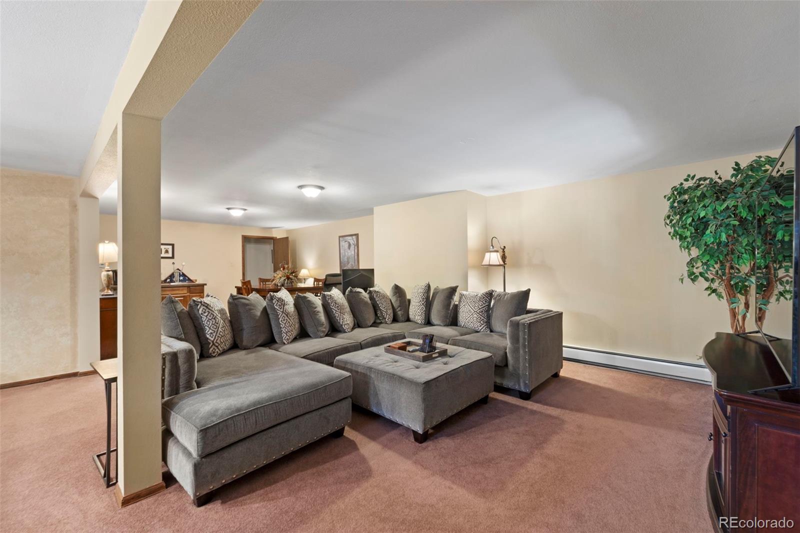 MLS Image #21 for 1  kendora lane,woodland park, Colorado