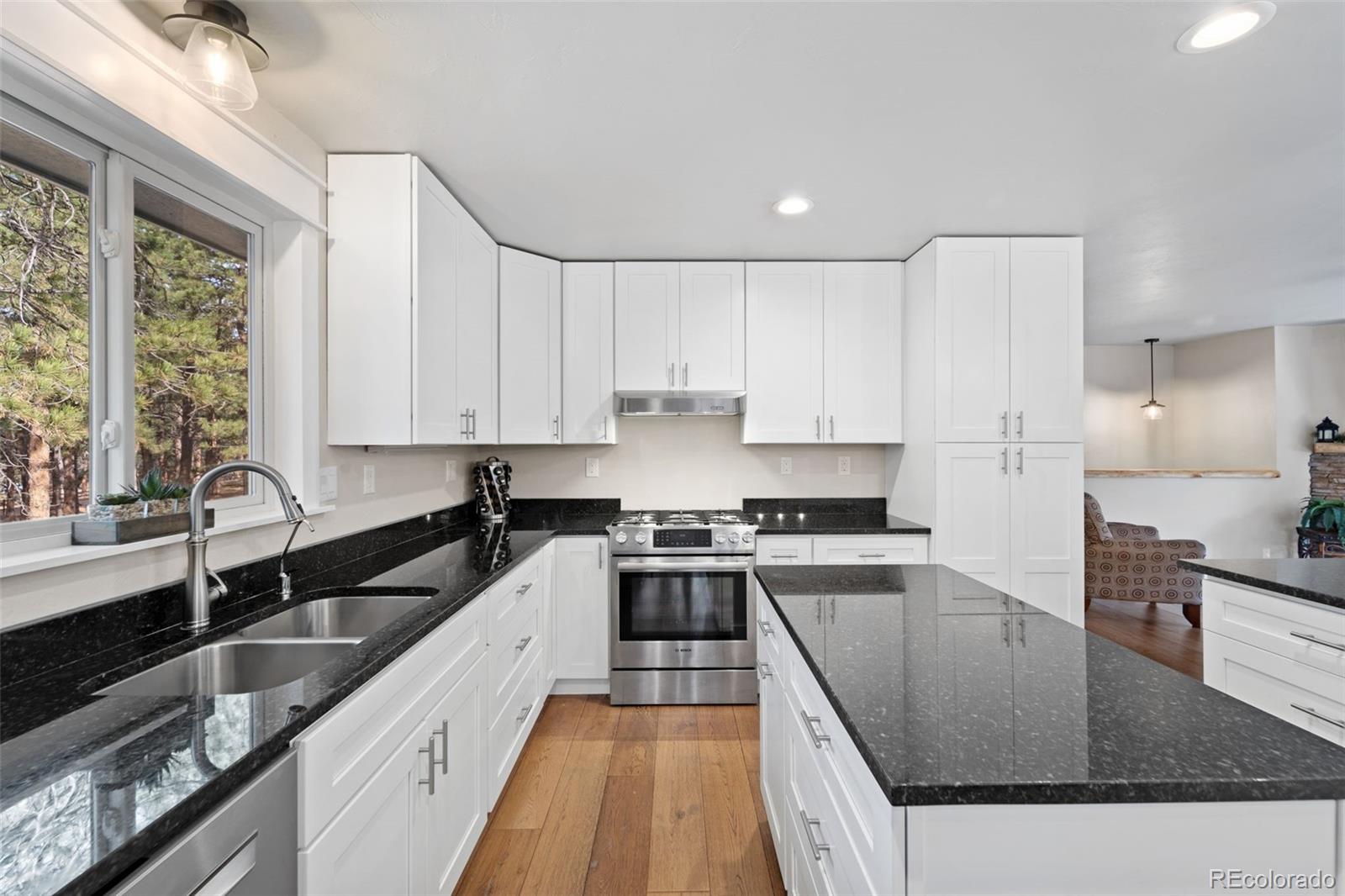 MLS Image #7 for 1  kendora lane,woodland park, Colorado