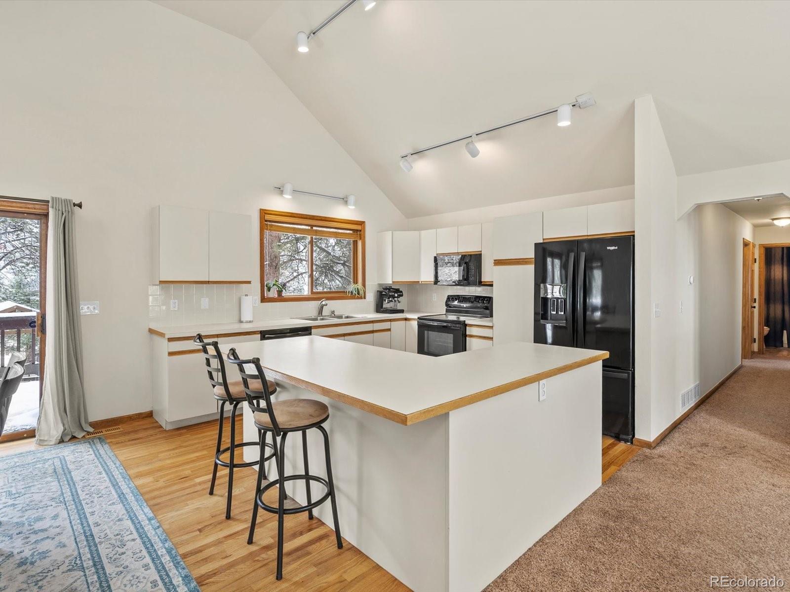 MLS Image #10 for 335  yum yum tree lane,bailey, Colorado