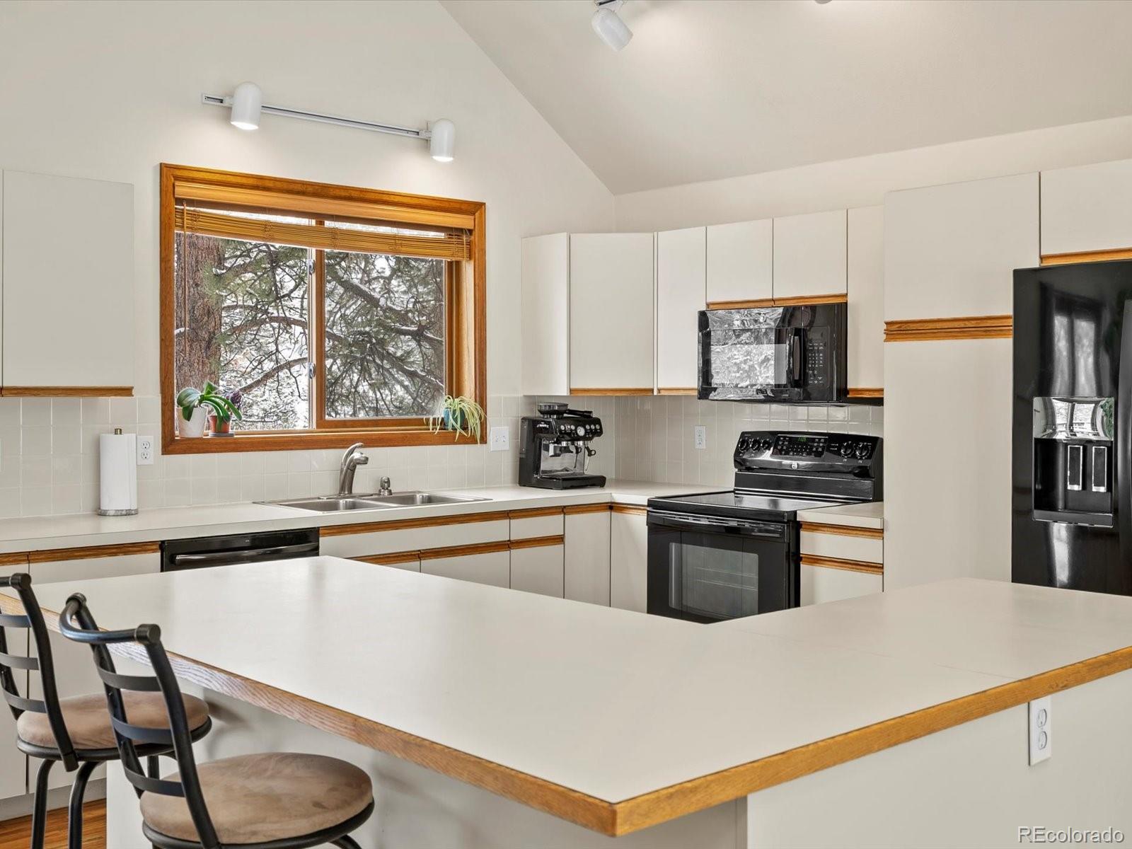 MLS Image #11 for 335  yum yum tree lane,bailey, Colorado