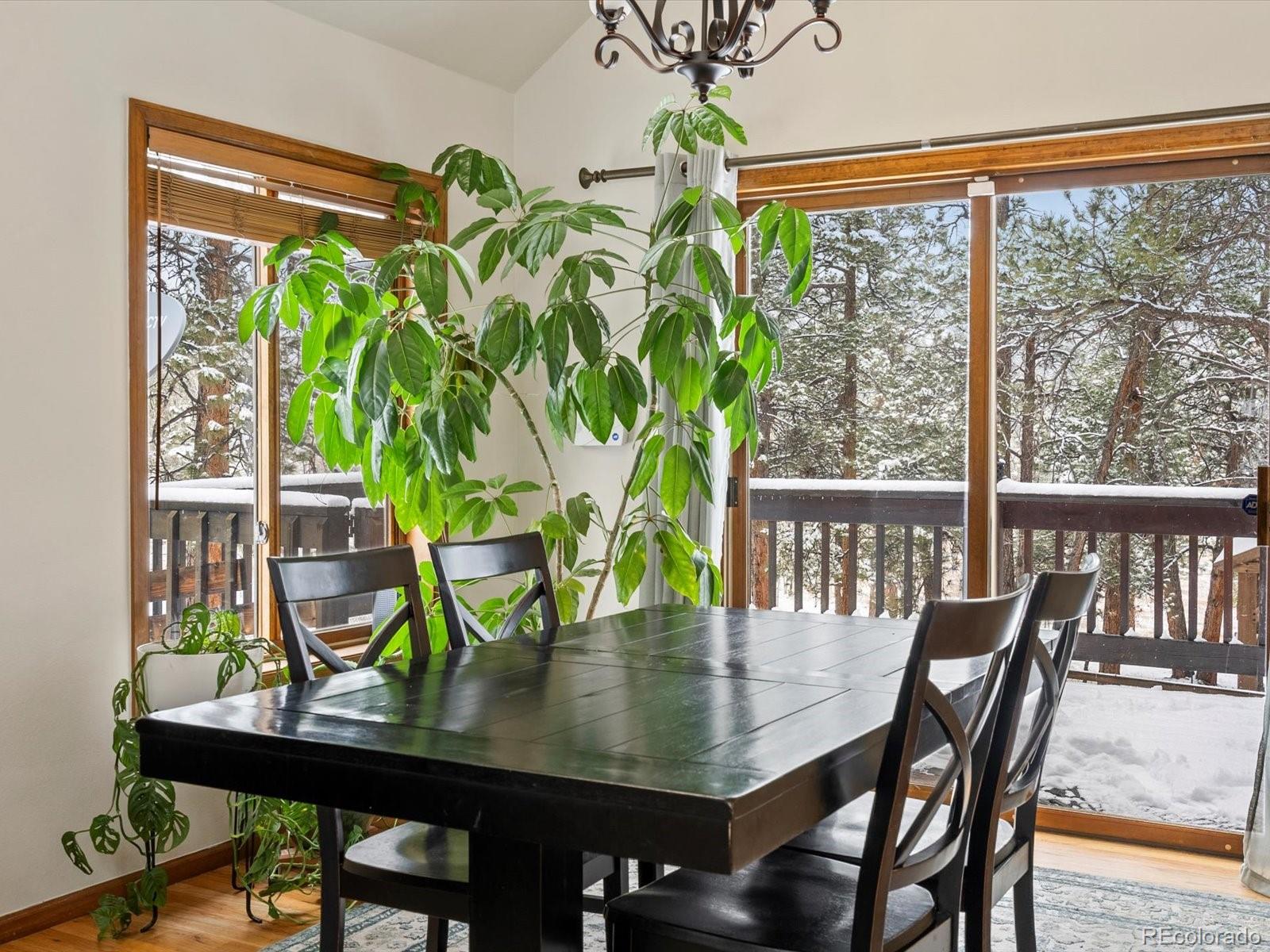 MLS Image #16 for 335  yum yum tree lane,bailey, Colorado