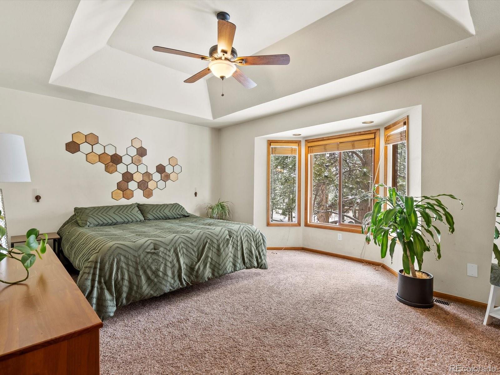 MLS Image #18 for 335  yum yum tree lane,bailey, Colorado