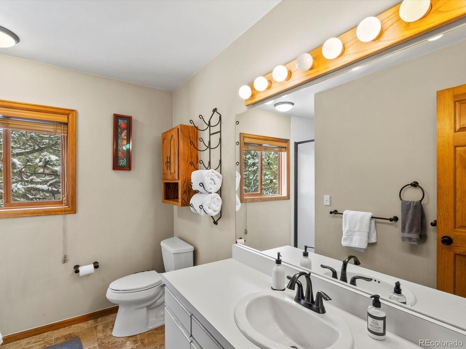 MLS Image #21 for 335  yum yum tree lane,bailey, Colorado