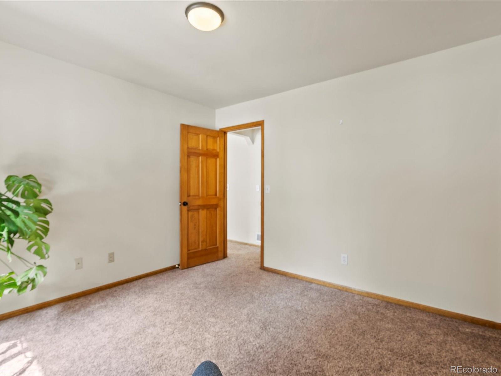 MLS Image #24 for 335  yum yum tree lane,bailey, Colorado