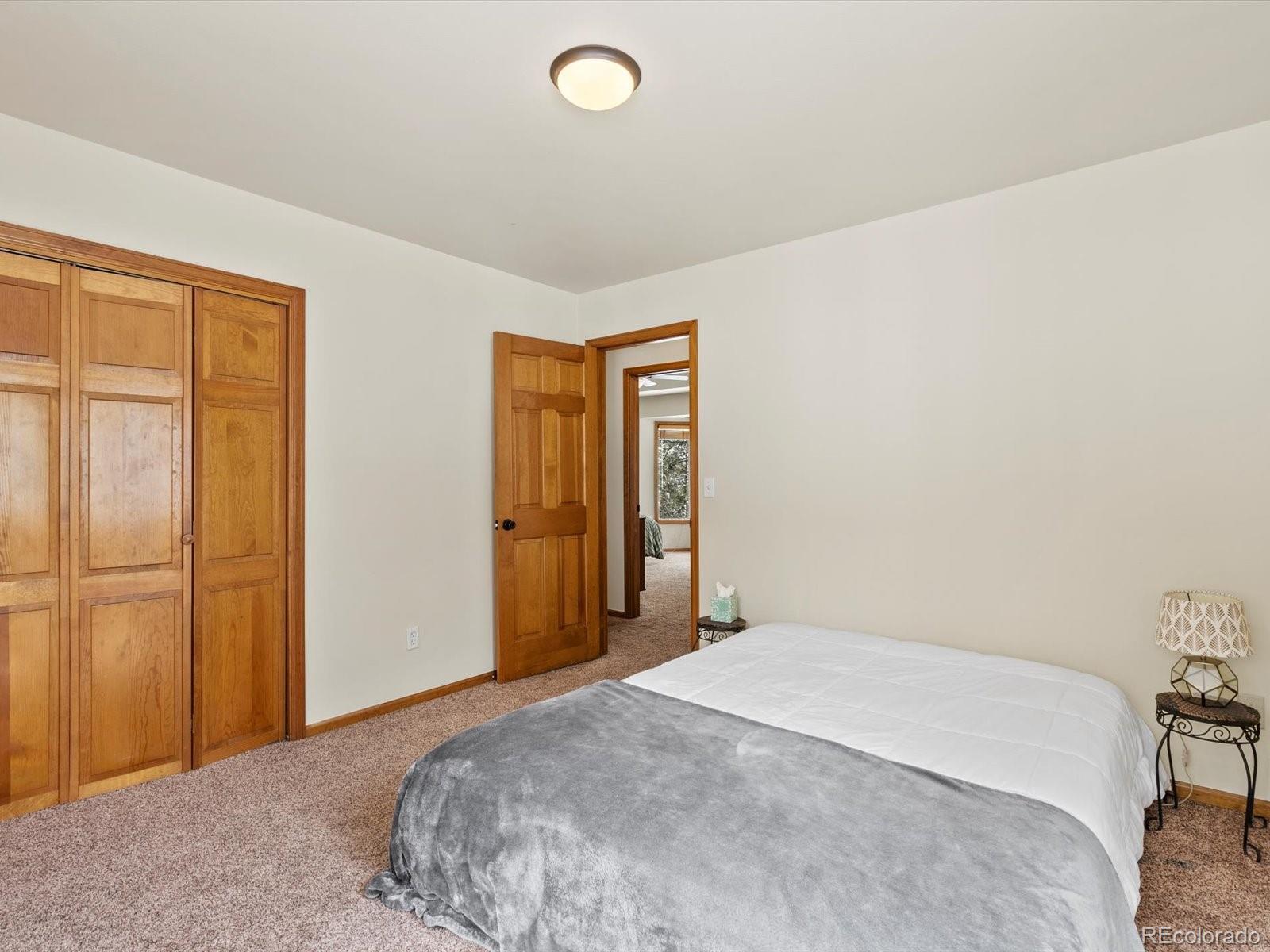MLS Image #26 for 335  yum yum tree lane,bailey, Colorado
