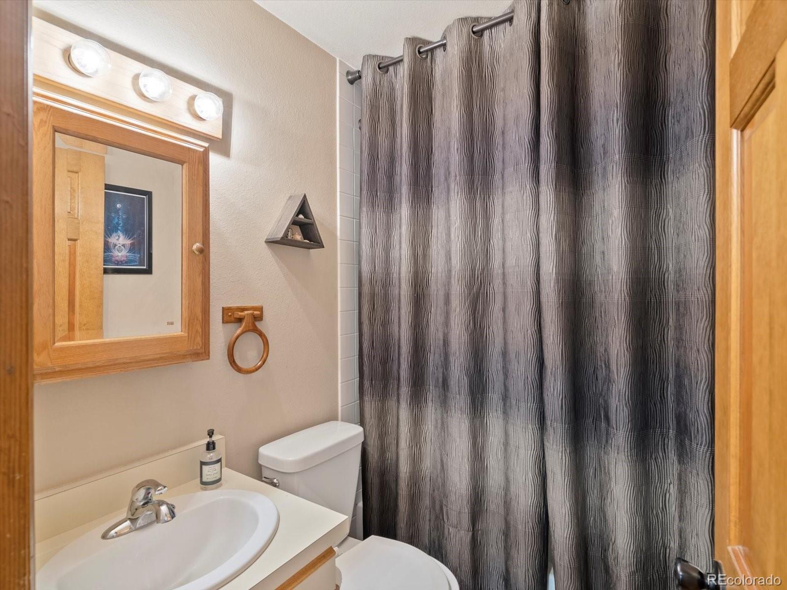 MLS Image #27 for 335  yum yum tree lane,bailey, Colorado