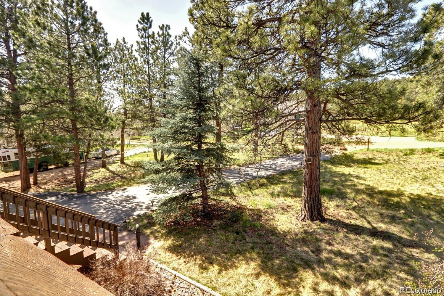 MLS Image #37 for 335  yum yum tree lane,bailey, Colorado