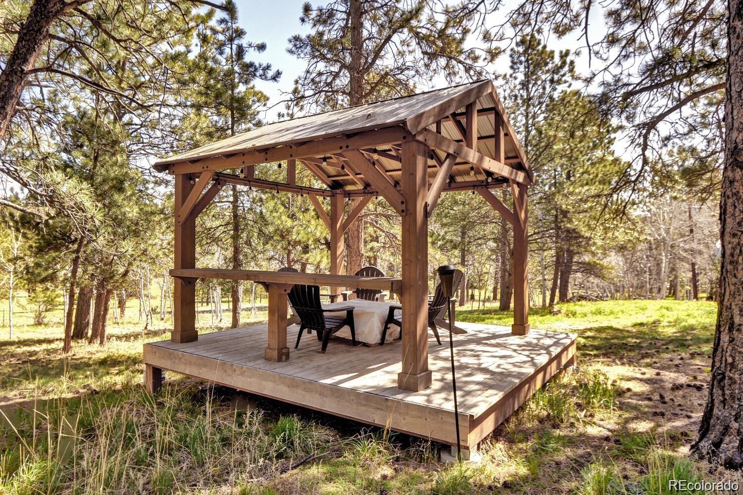 MLS Image #39 for 335  yum yum tree lane,bailey, Colorado