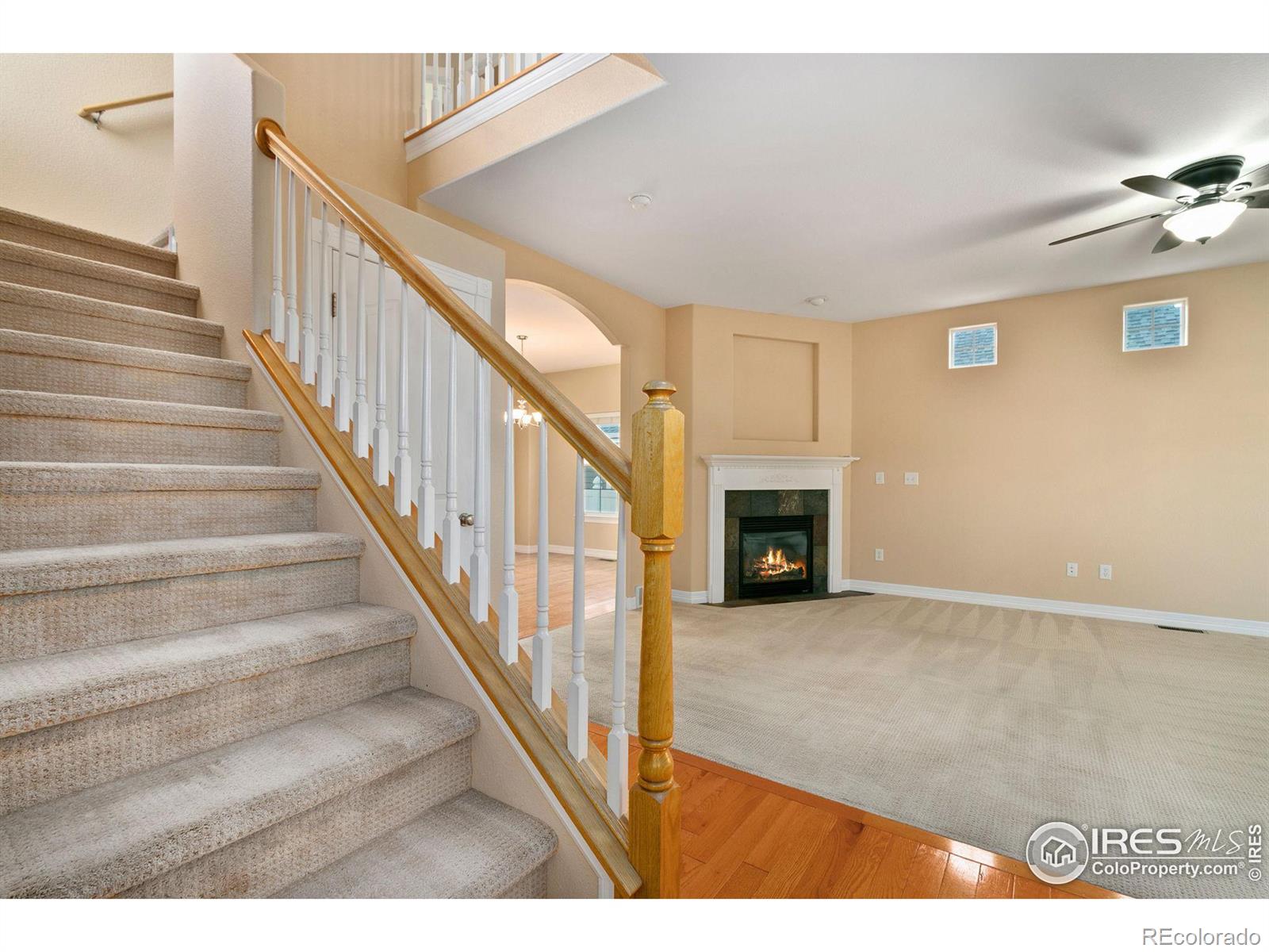 MLS Image #11 for 1139  fairfield avenue,windsor, Colorado