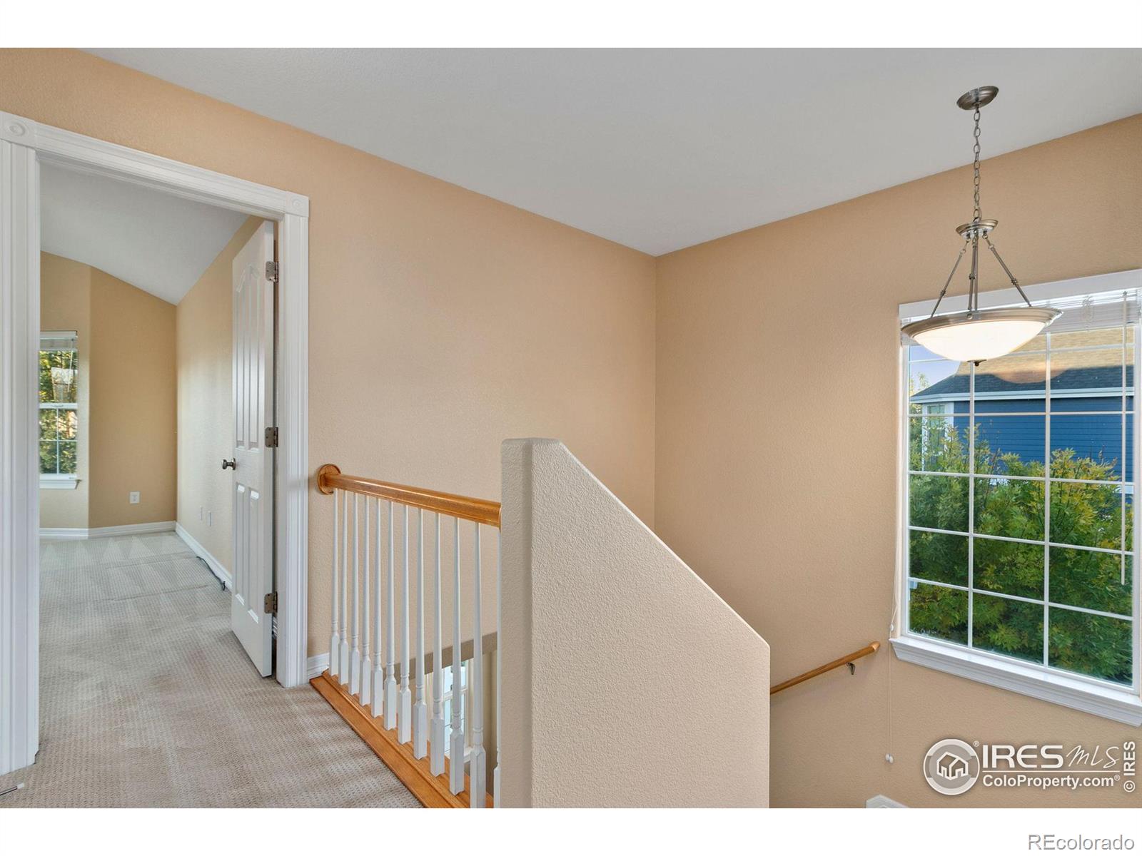 MLS Image #16 for 1139  fairfield avenue,windsor, Colorado