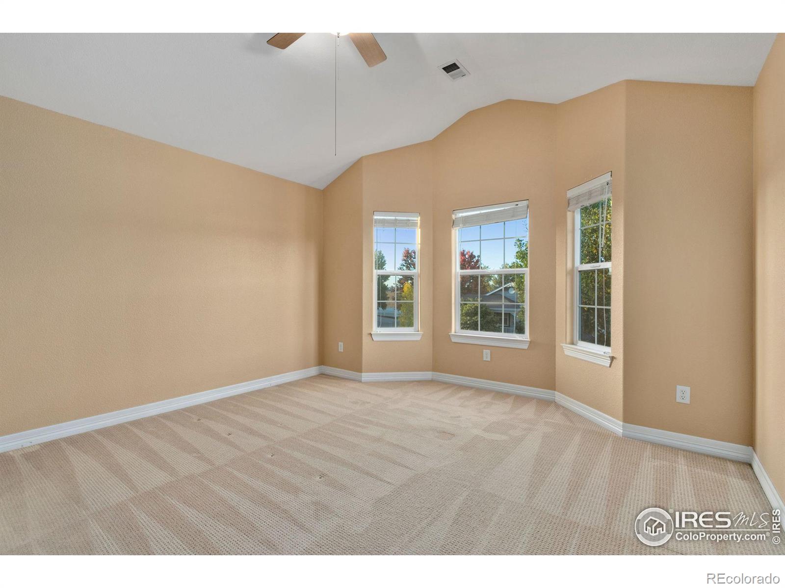 MLS Image #17 for 1139  fairfield avenue,windsor, Colorado