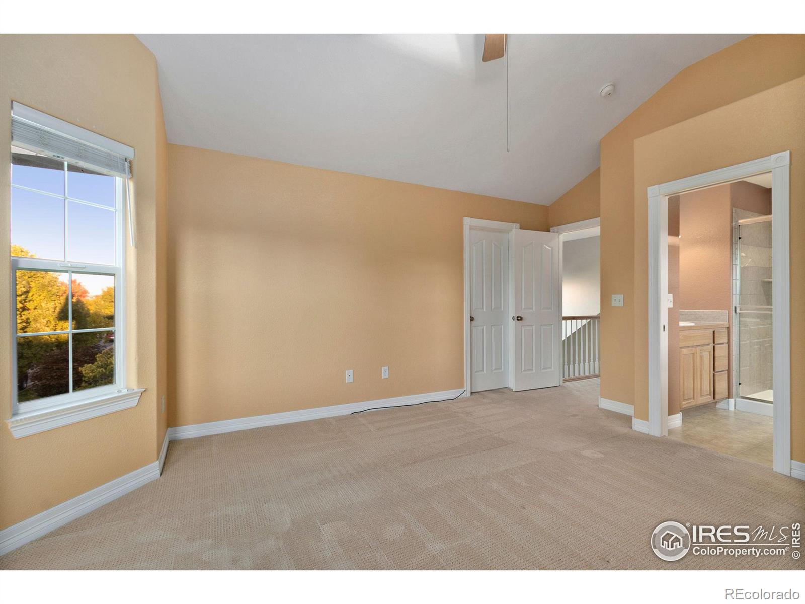 MLS Image #18 for 1139  fairfield avenue,windsor, Colorado