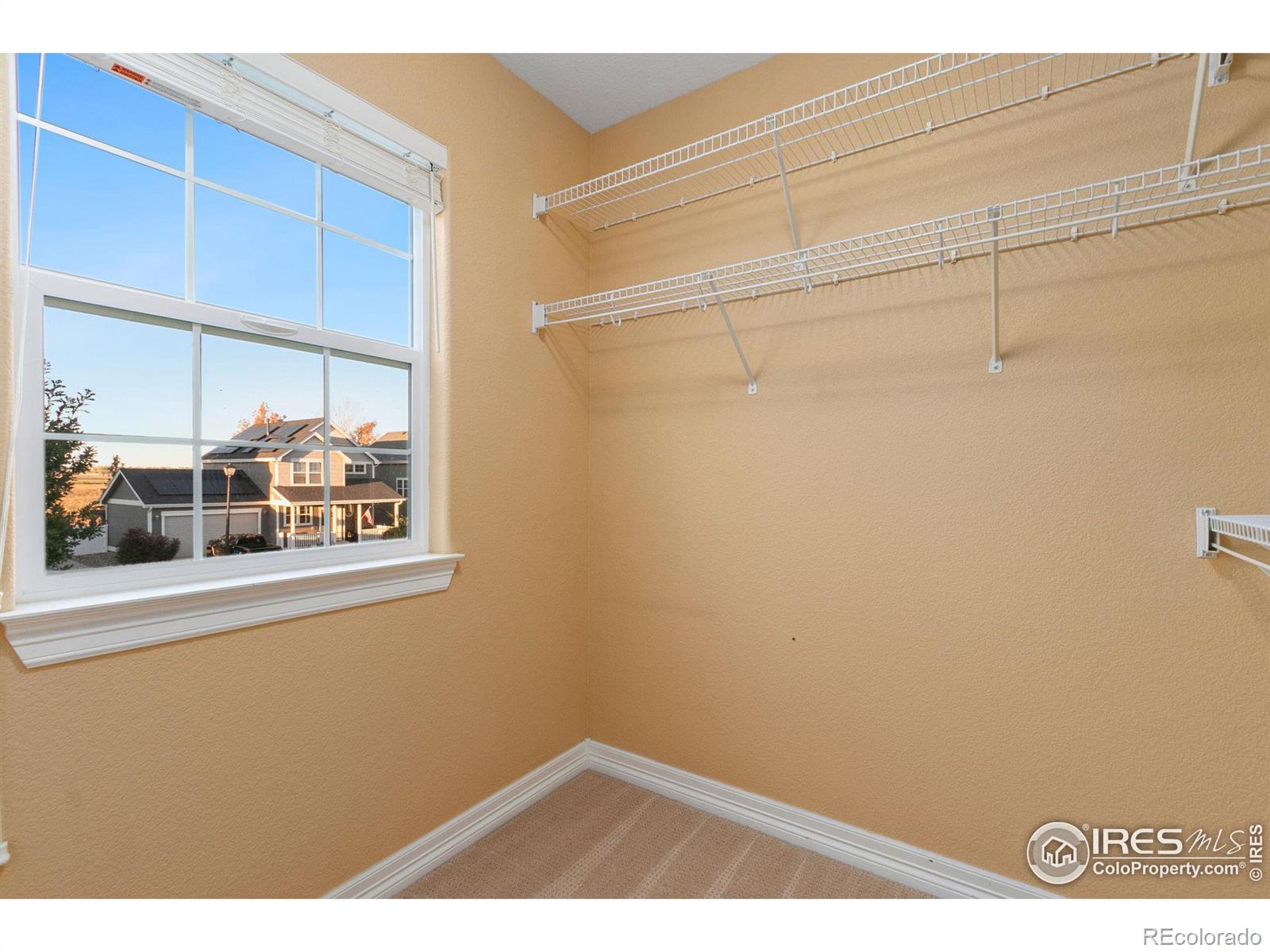 MLS Image #20 for 1139  fairfield avenue,windsor, Colorado