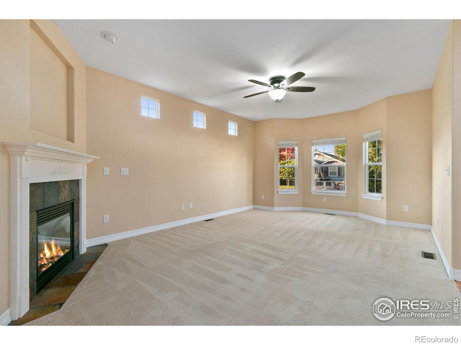 MLS Image #5 for 1139  fairfield avenue,windsor, Colorado