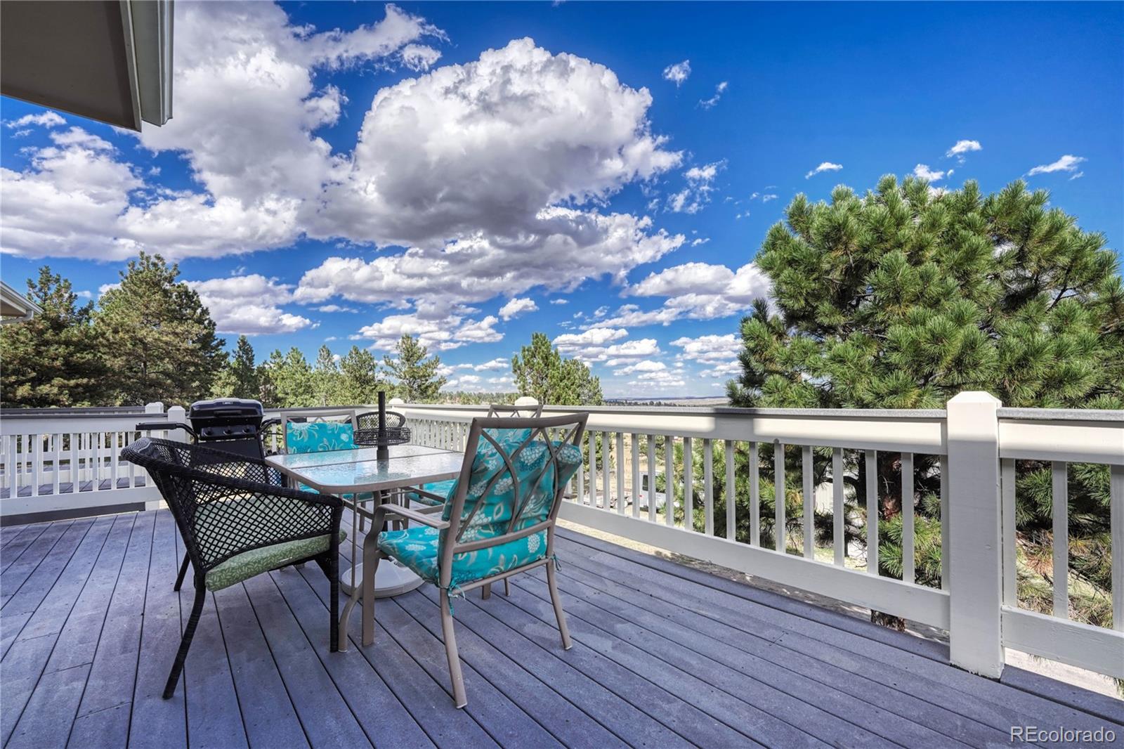 MLS Image #31 for 13922  double tree circle,elbert, Colorado