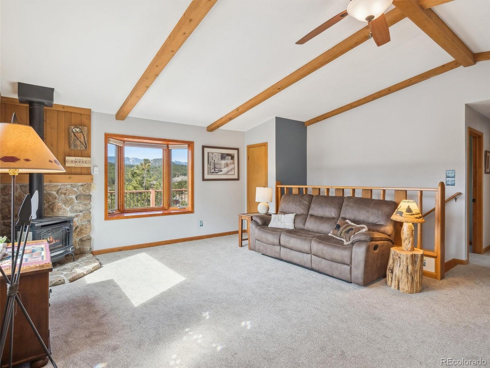 MLS Image #10 for 179  juniper lane,bailey, Colorado