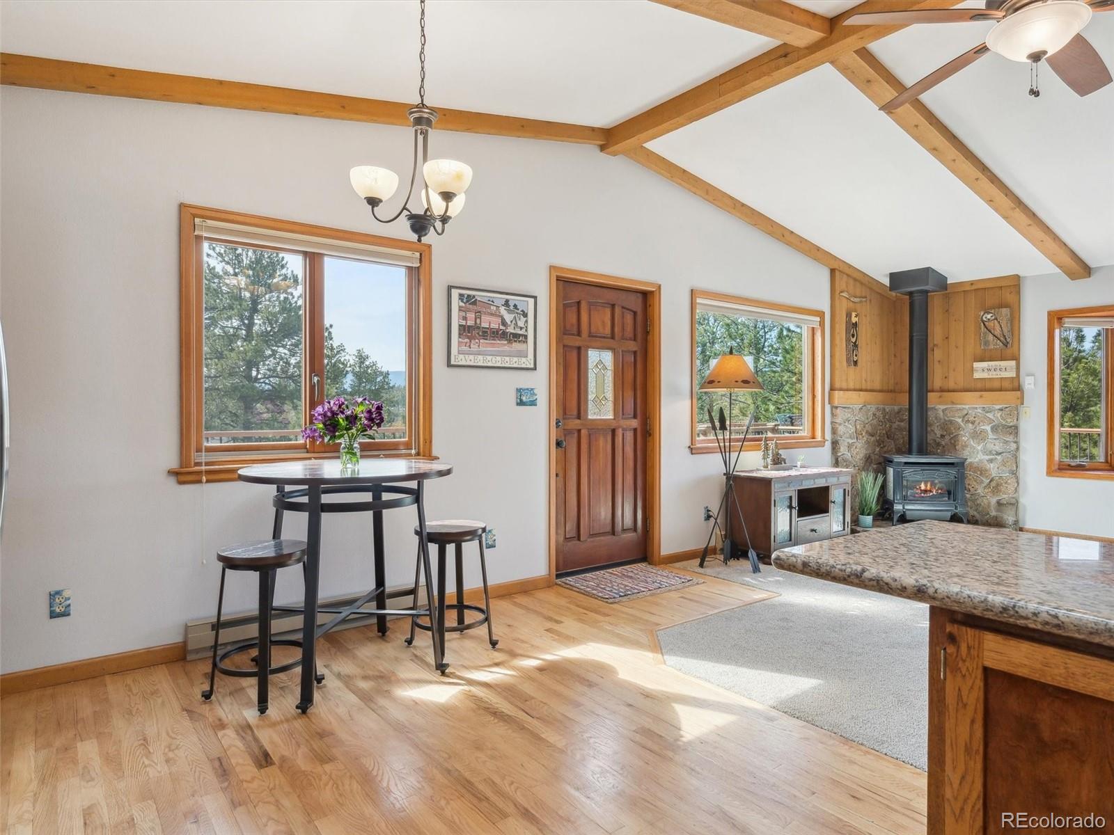 MLS Image #19 for 179  juniper lane,bailey, Colorado
