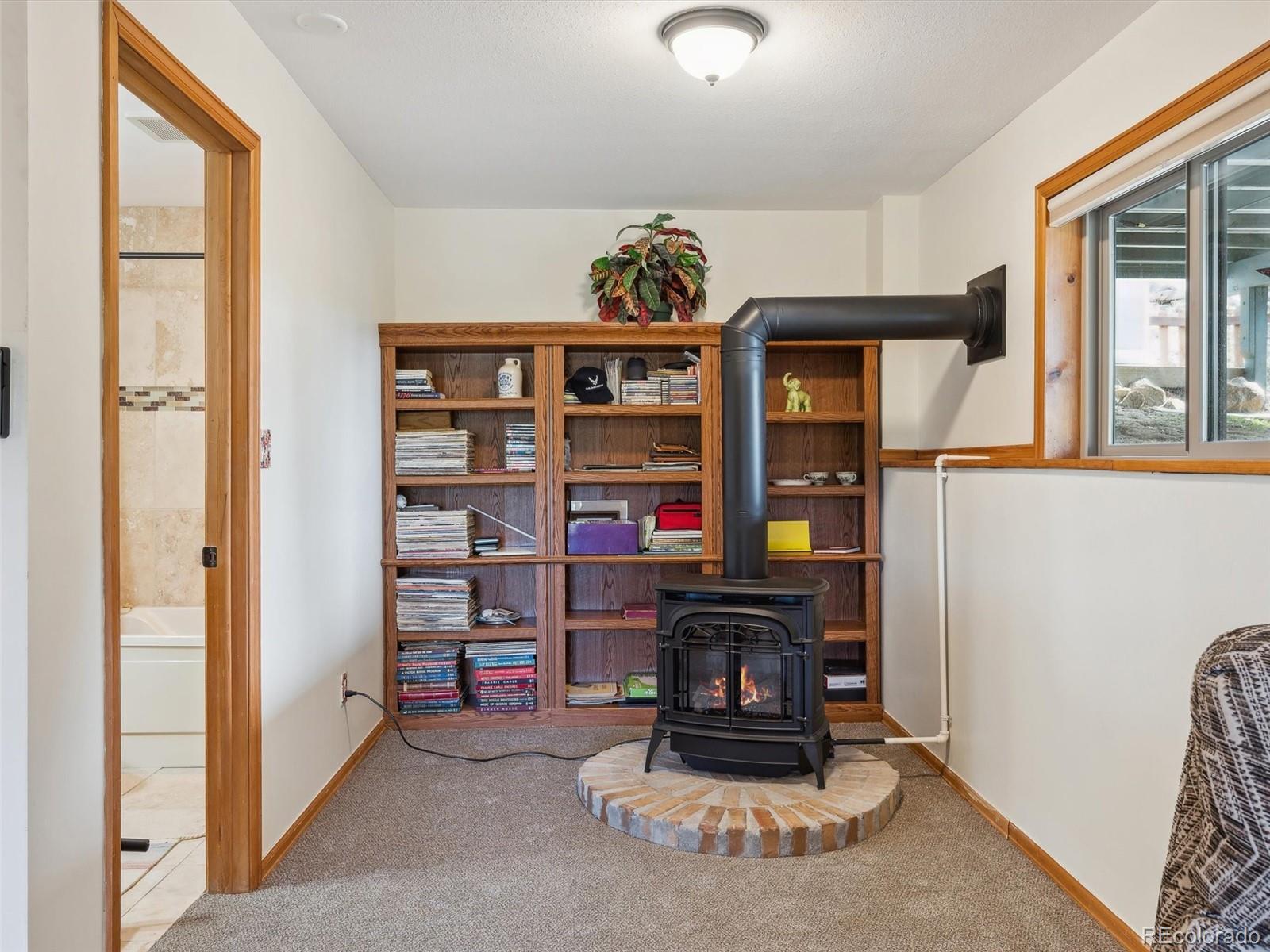 MLS Image #29 for 179  juniper lane,bailey, Colorado