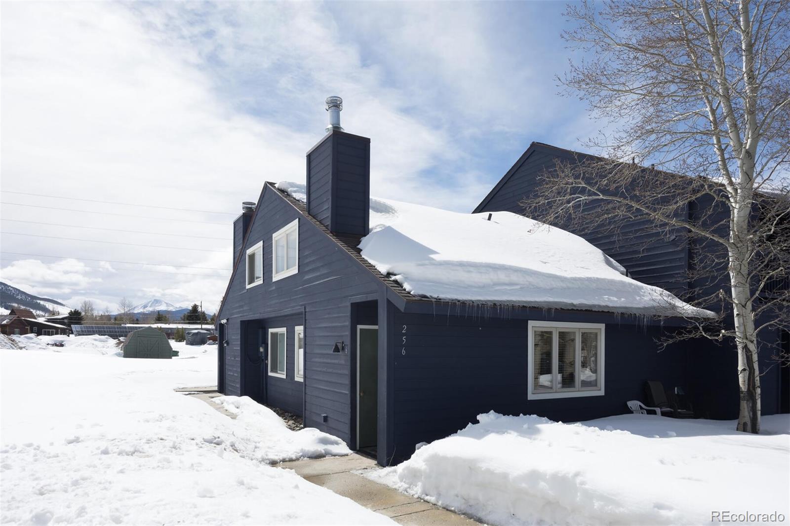 MLS Image #12 for 256  cove boulevard,dillon, Colorado
