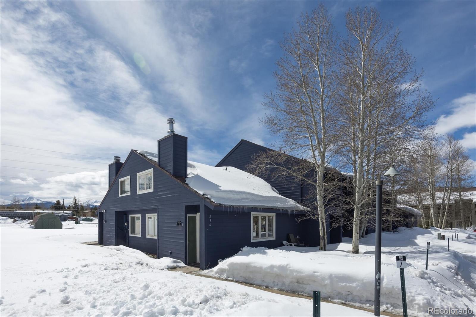 MLS Image #2 for 256  cove boulevard,dillon, Colorado