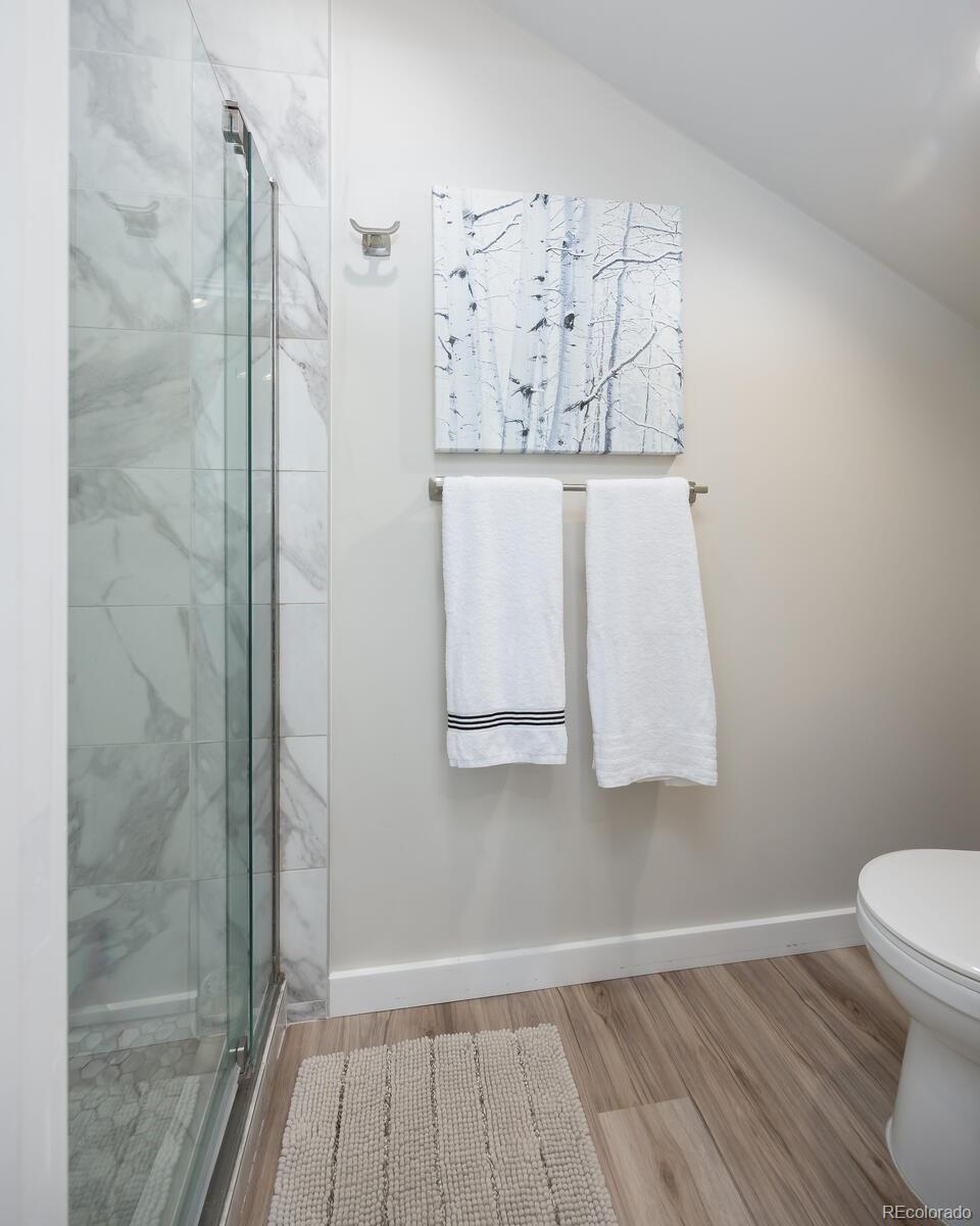 MLS Image #28 for 256  cove boulevard,dillon, Colorado