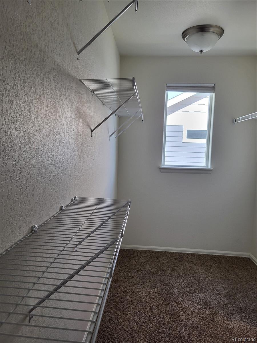 MLS Image #10 for 214  castle drive,severance, Colorado