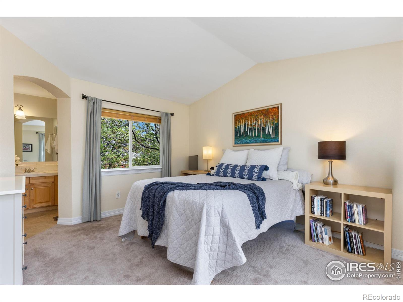 MLS Image #14 for 516  folklore avenue,longmont, Colorado