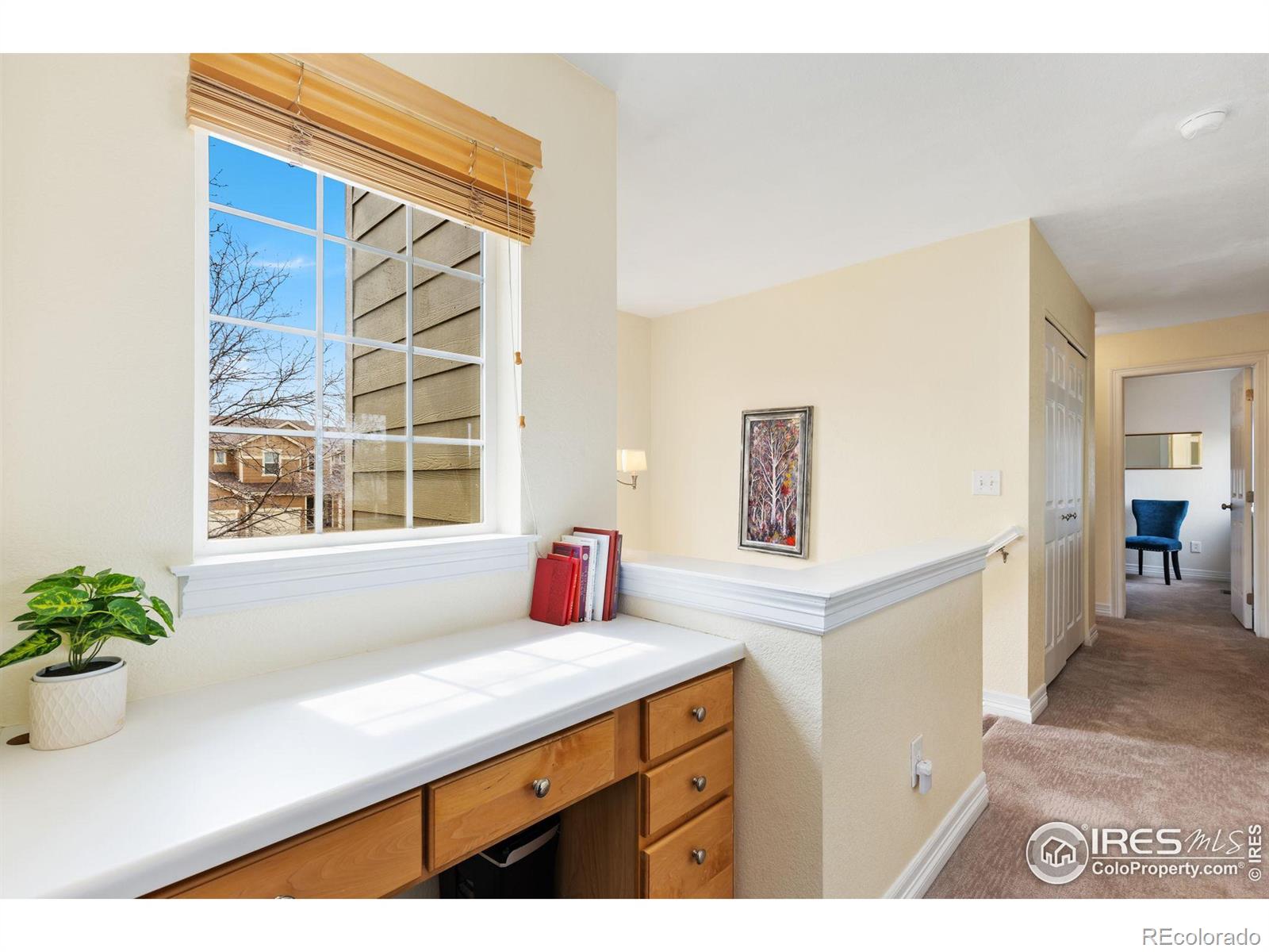 MLS Image #17 for 516  folklore avenue,longmont, Colorado