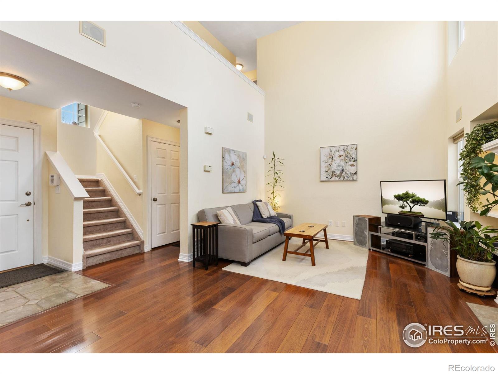MLS Image #2 for 516  folklore avenue,longmont, Colorado